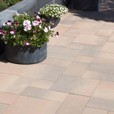 Promosteen+ 4,7 wildverband 2 Safi Partij (ca. 12,96 m²) (uitverkocht 15-5-23)